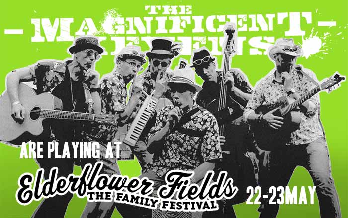 Elderflower Fields Festival 2020 image